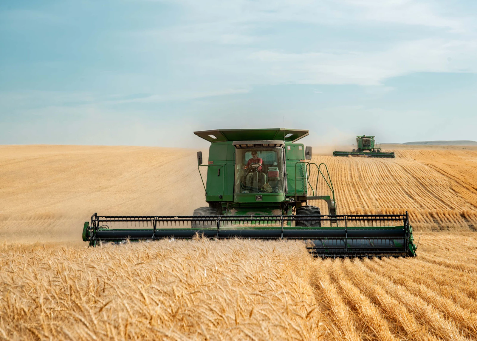 Grüner Mähdrescher bei der Ernte in einem Weizenfeld